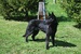DSC_0467.JPG